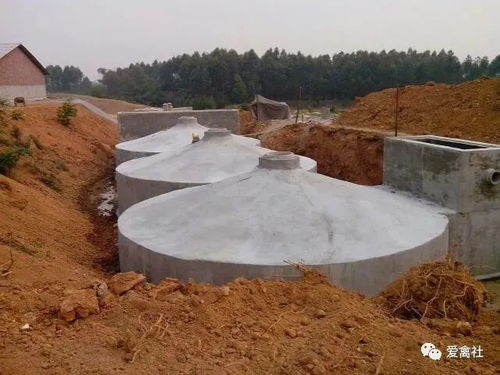 7條畜禽養(yǎng)殖污染防治知識(shí)及工程總承包服務(wù)