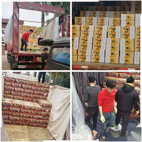 同舟共冀，共同戰“疫”——河北博泉集團捐贈32噸澄邁農產品支援抗疫一線